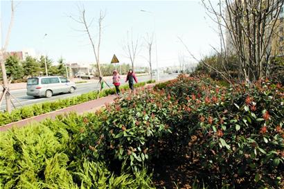 臺柳路將變南北第三干道 臺柳路將變南北第三干道