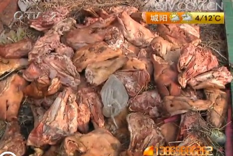 黑作坊用腐爛豬頭做醬貨 加工車間內(nèi)隨處撒尿 黑作坊用腐爛豬頭做醬貨 加工車間內(nèi)隨處撒尿