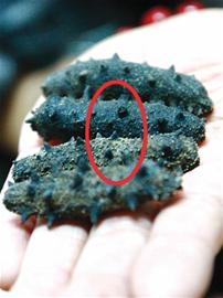 央視曝光南山市場(chǎng)摻糖干海參 央視曝光南山市場(chǎng)摻糖干海參