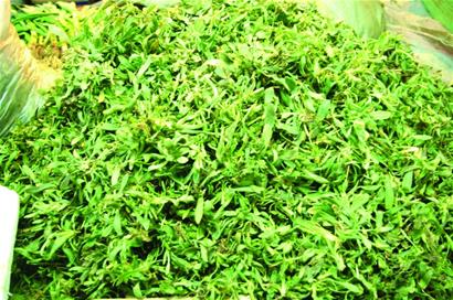 開春細(xì)數(shù)青島野菜 開春細(xì)數(shù)青島野菜