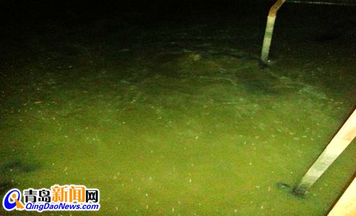 青島圓寶亞麻紡織有限公司違法排污 青島圓寶亞麻紡織有限公司違法排污