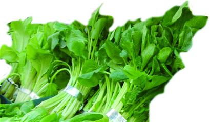 捆菜膠帶大部分是工業膠帶 捆菜膠帶大部分是工業膠帶