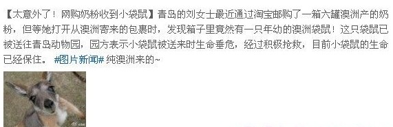 傳青島母親購澳洲奶粉收到袋鼠 證實純屬玩笑 傳青島母親購澳洲奶粉收到袋鼠 證實純屬玩笑