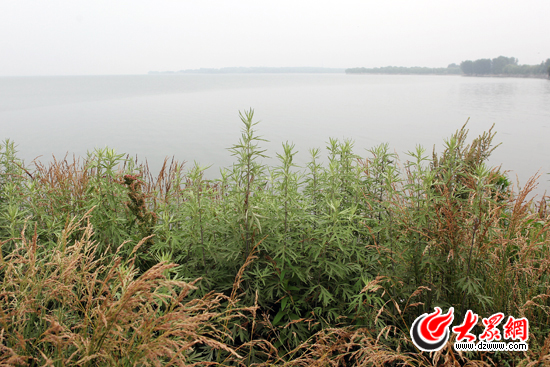 峽山水庫風光 峽山水庫風光