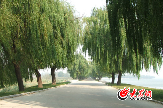 峽山湖國家濕地公園的環湖公路。 峽山湖國家濕地公園的環湖公路。