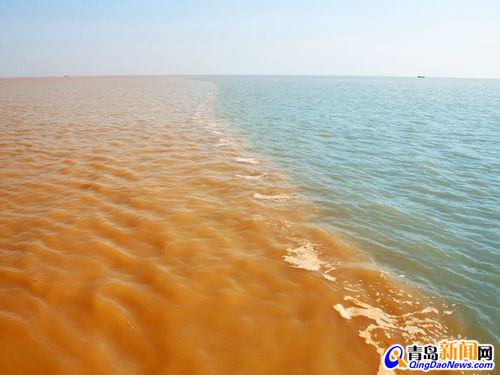 黃河奔流現黃龍入海奇觀 黃河奔流現黃龍入海奇觀